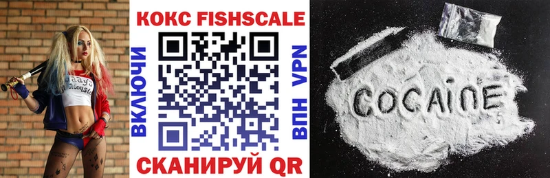 Купить закладки Дигора Кокаин FishScale