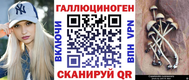 Псилоцибиновые грибы MAGIC MUSHROOMS Дигора